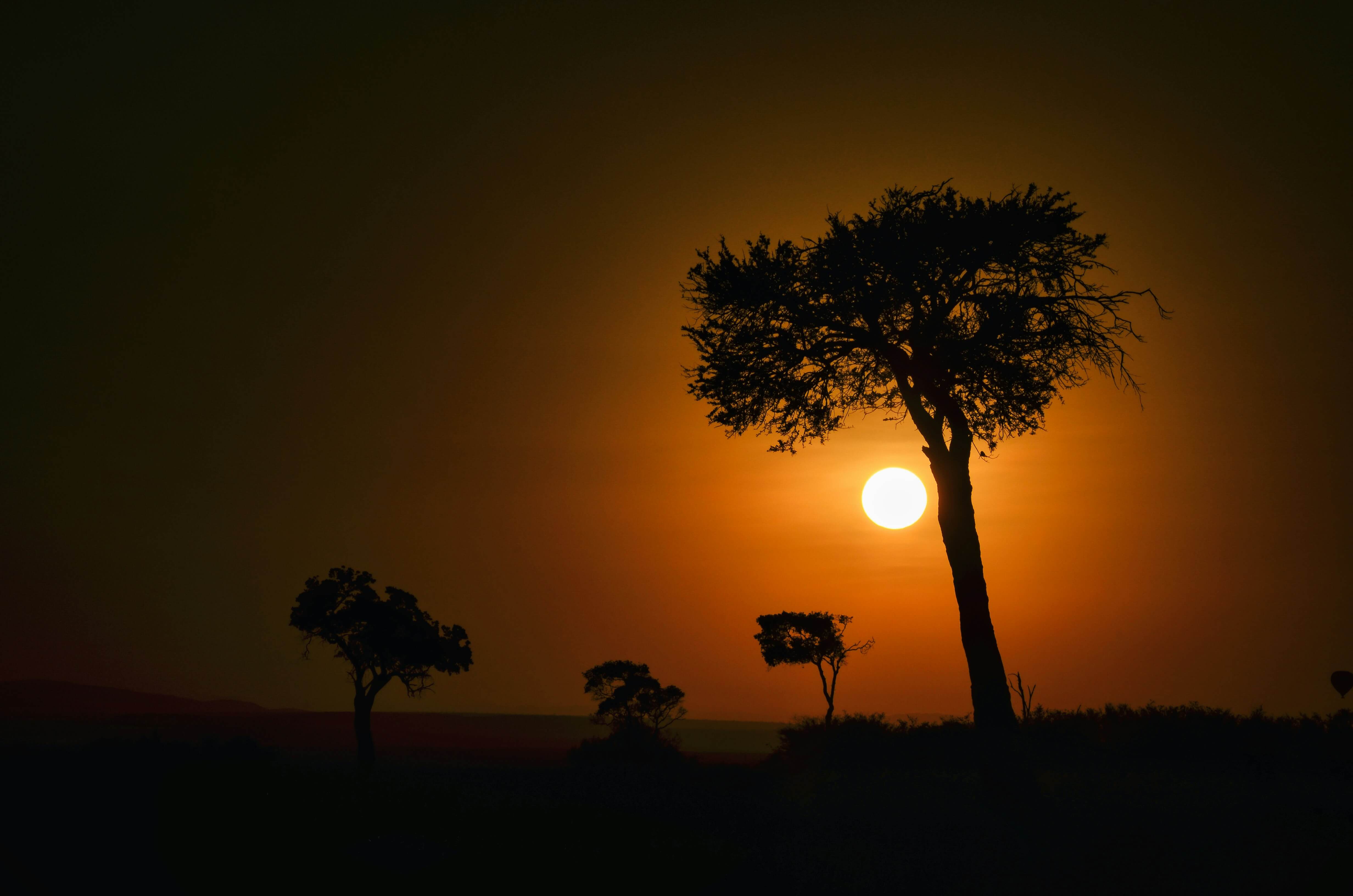 Golden Serenity: A breathtaking landscape captures the tranquil beauty of the Maasai Mara at sunset.